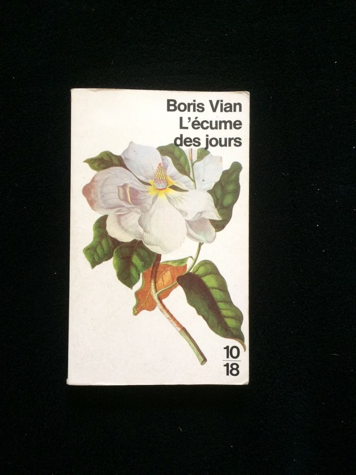 L'écume des jours - photo numéro 2