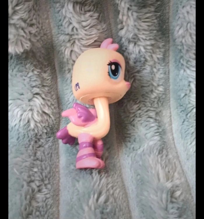 Petshop autruche 1416 - photo numéro 2