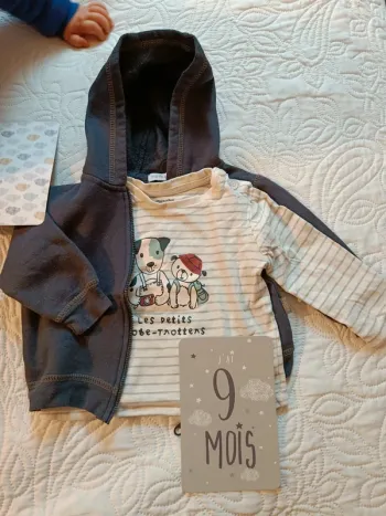 Lot t-shirt et gilet capuche 9 mois