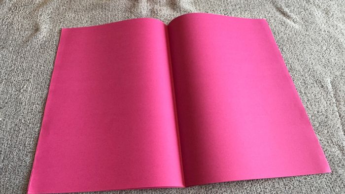 Ensemble de 10 sous chemises Rose - photo numéro 4