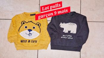 Lot pulls garçon 9 mois