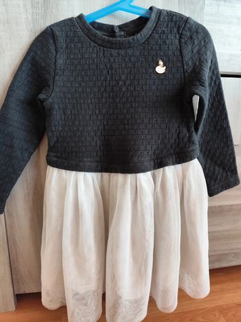 Robe cygne