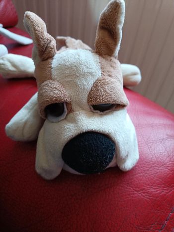 Peluche chien