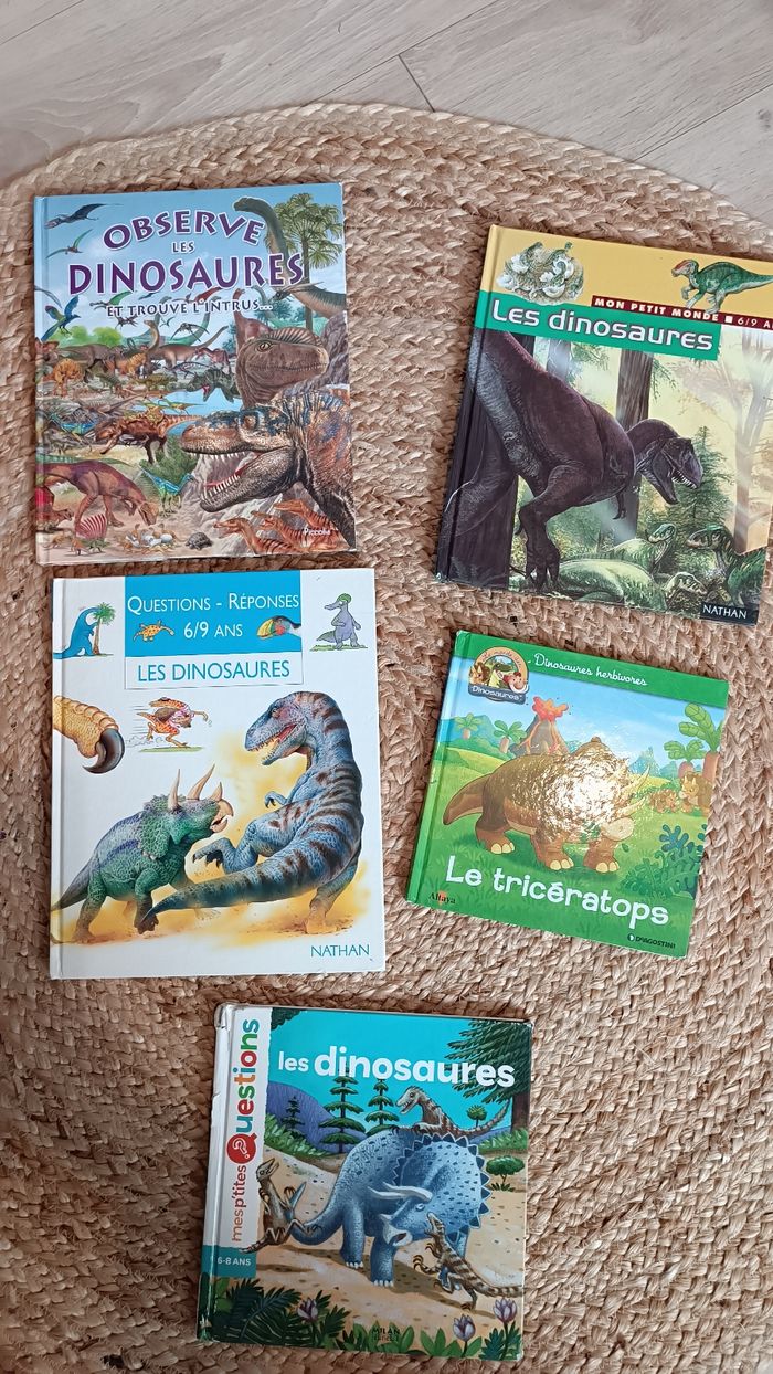 Lot de livres éducatifs sur les dinosaures