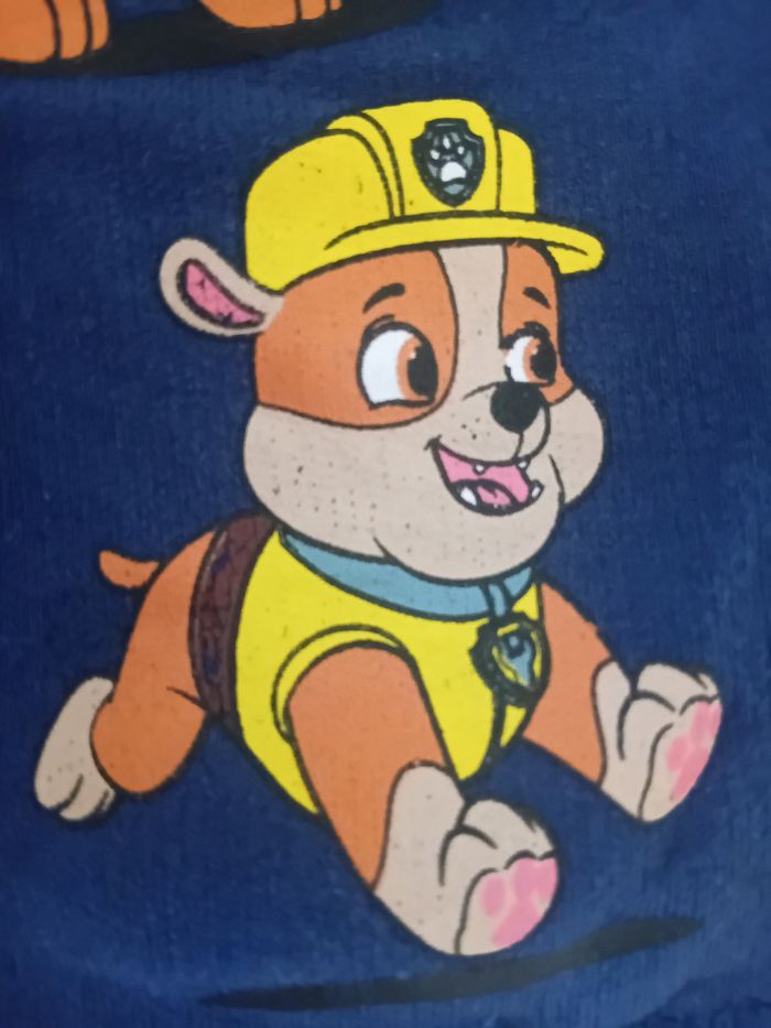 Short garçon Paw Patrol - Taille 104 (C&A) - photo numéro 5