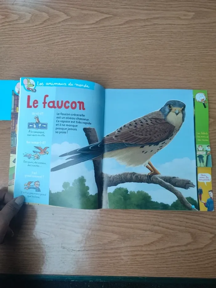 Livre youpi François 1er - photo numéro 11