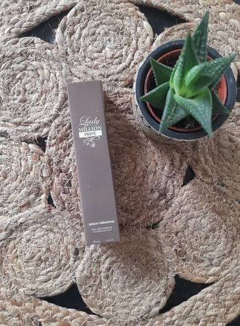 Parfum de poche 33ml lady million privé