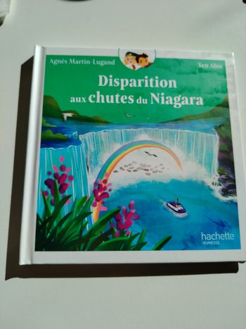 Disparition aux chutes du Niagara