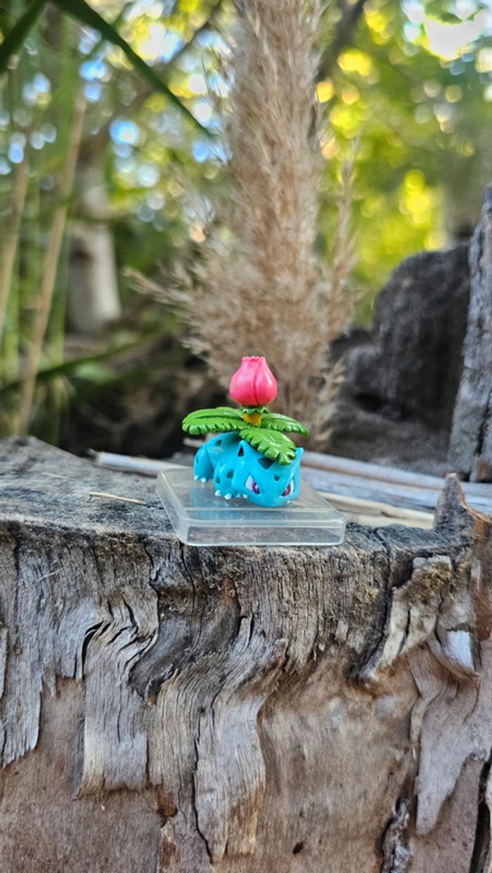 Super petite figurine Pokemon Nintendo herbizare - photo numéro 6