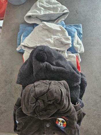 Lot de 4 veste a capuche
