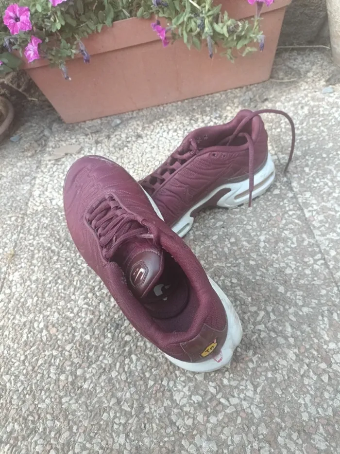 Baskets Nike tn