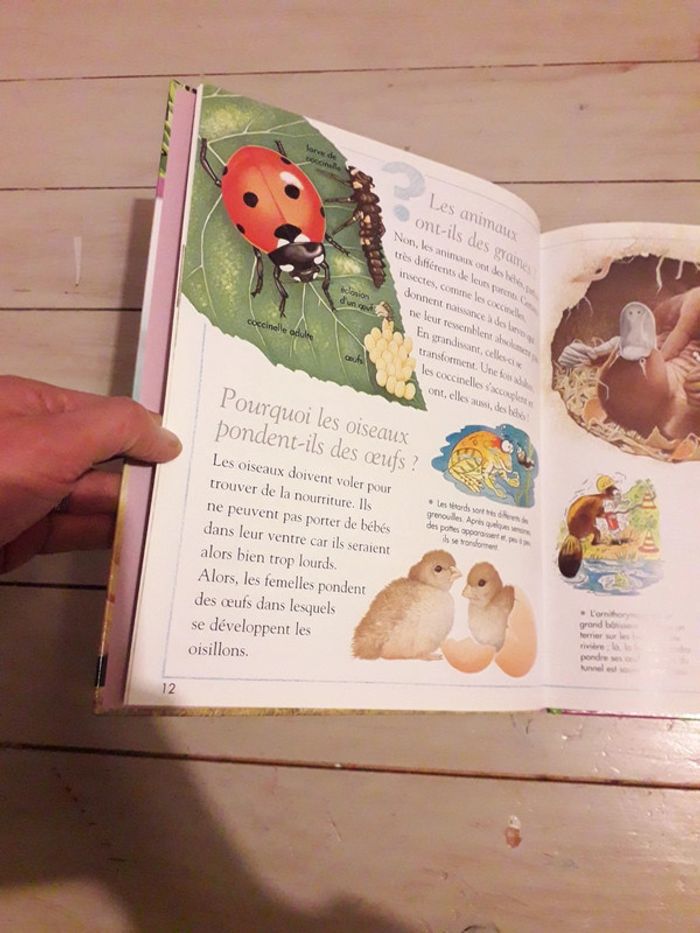 Questions réponses sur la vie des animaux - photo numéro 3