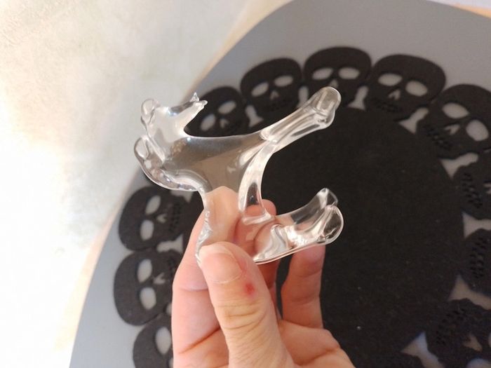 Cheval en verre - photo numéro 5