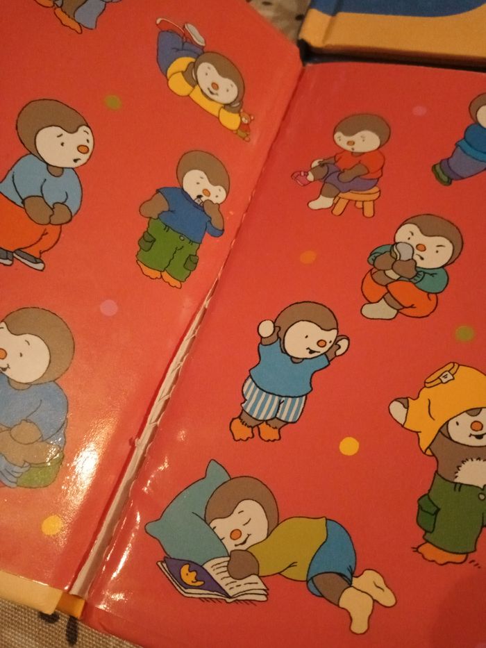 2 livres T'choupi - photo numéro 2