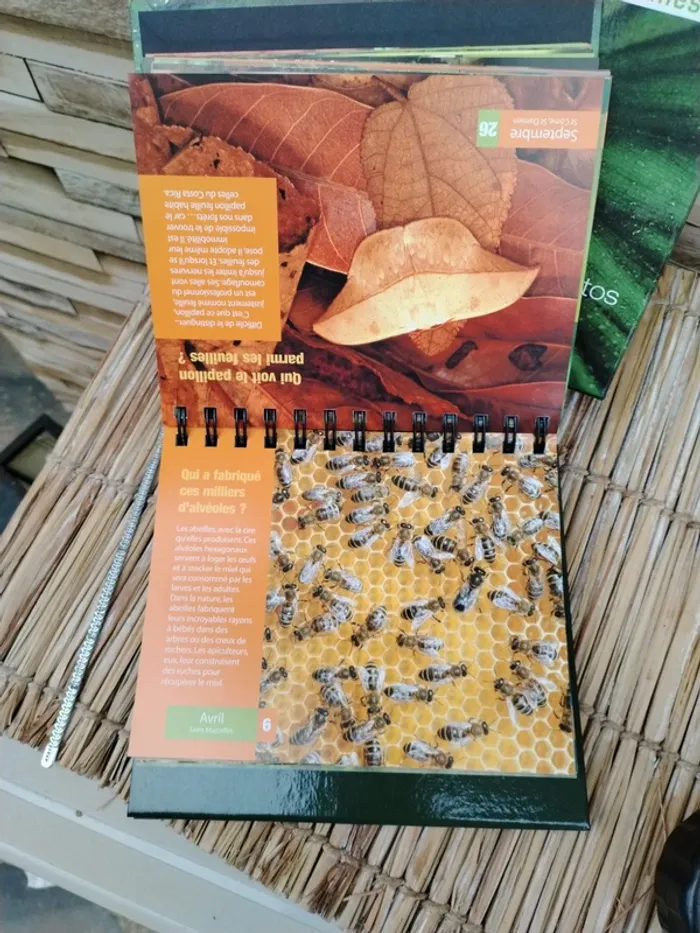 Livre GEO jeunesse nature - photo numéro 4