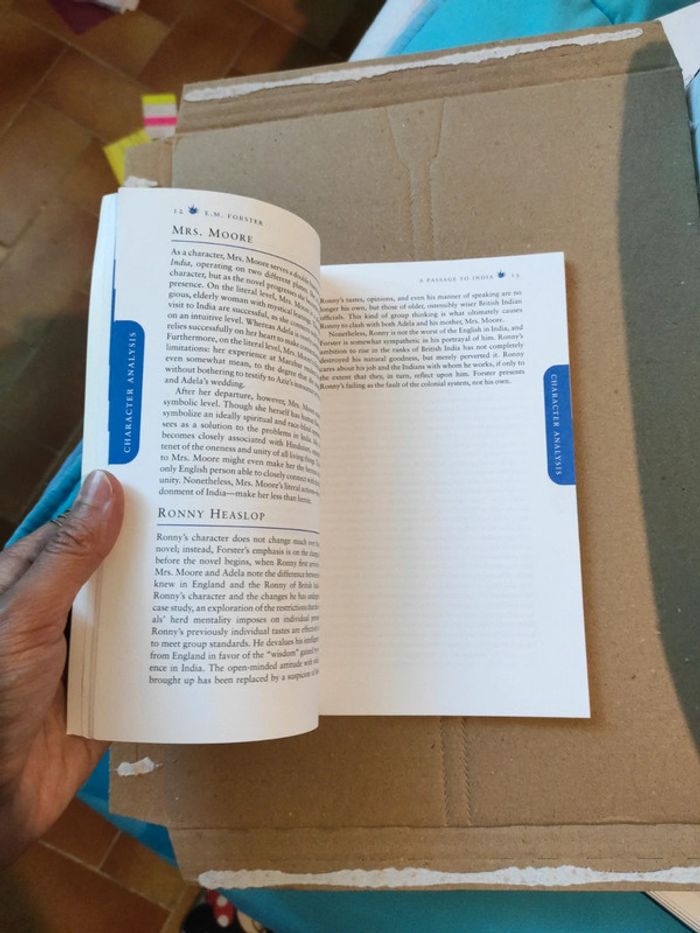 SparkNotes - A passage to India - photo numéro 2