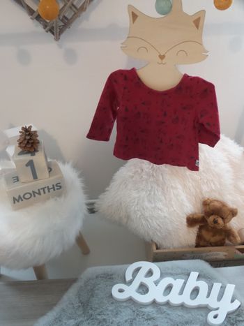 Jolie T shirt sapin herisson Tape a l'œil TAO rouge ouverture pression arriere mixte bébé fille bébé