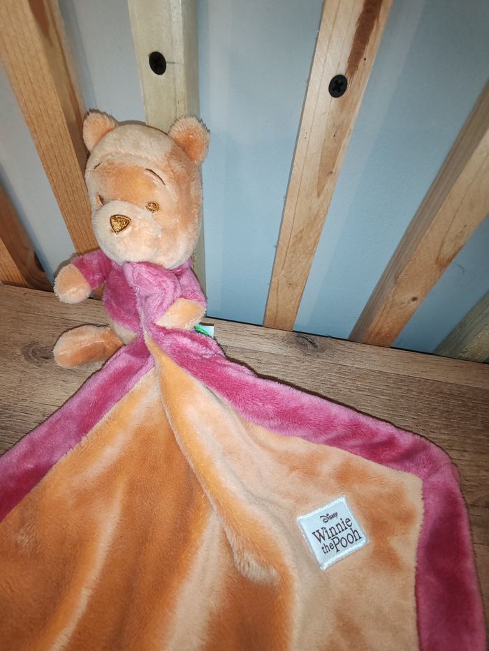Winnie l ourson the Pooh - photo numéro 2