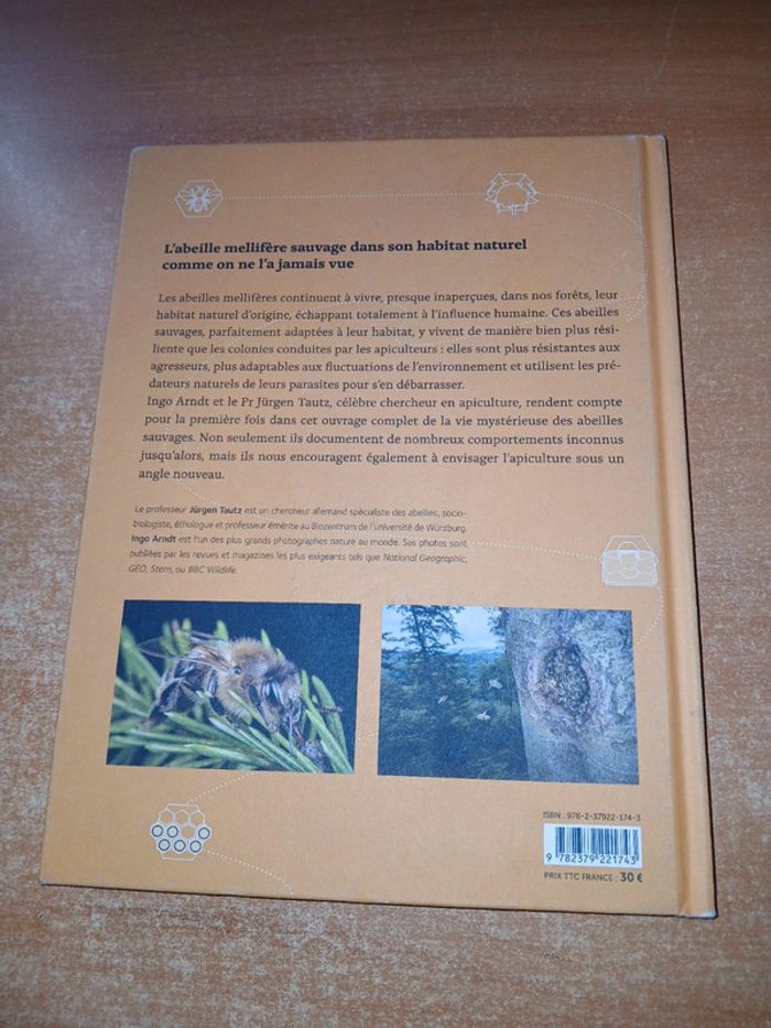 Abeilles mellifères sauvages - photo numéro 2