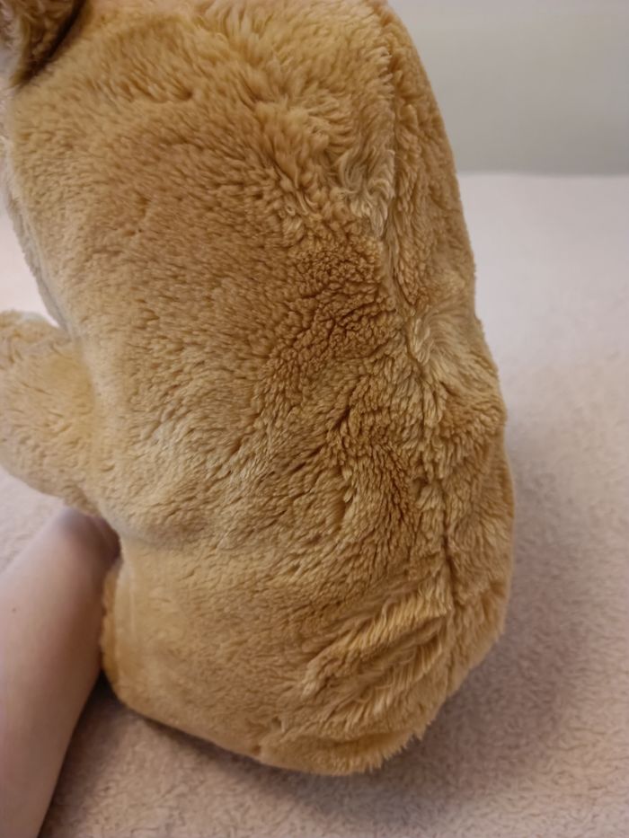 Ours en peluche - photo numéro 4