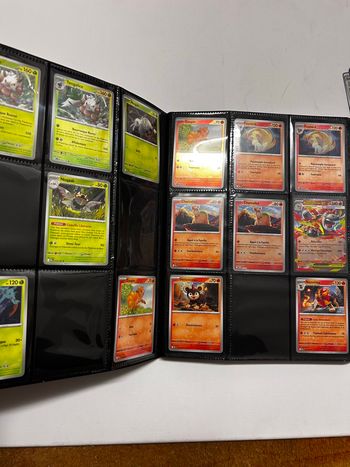 Mot classeur mega evolution et doublon