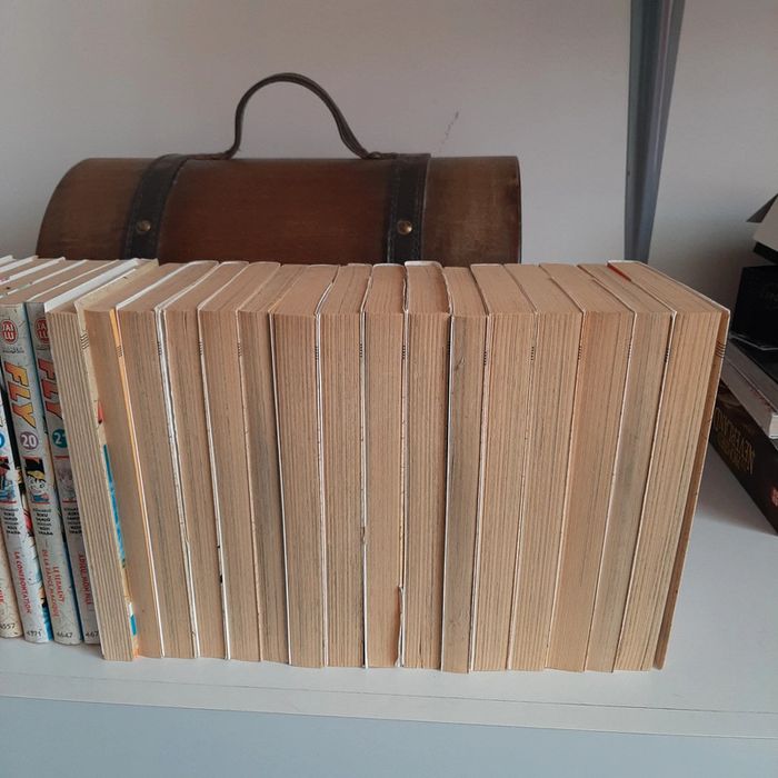 Manga Fly intégrale tome 1 à 37 - photo numéro 6