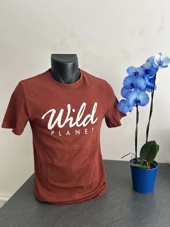 T-shirt ~ gémo ~ 16 ans