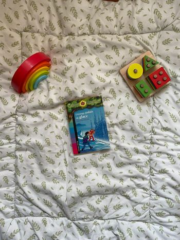 livre la cabane magique l'étrange palais de glace tome 27