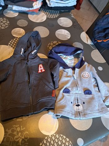 Lot de 2 gilets zippés avec capuche