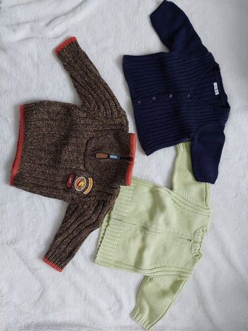 Lot 3 vestes 3 mois