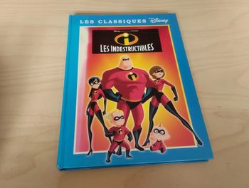 Livre Les Indestructibles
