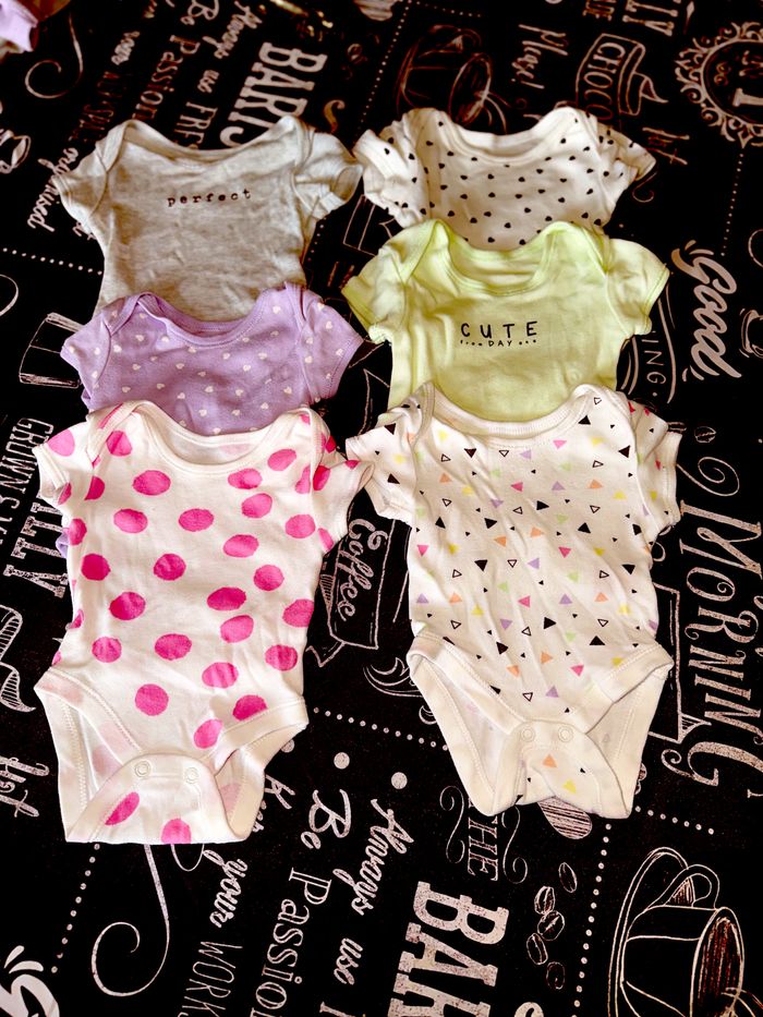 Lot 6 bodies