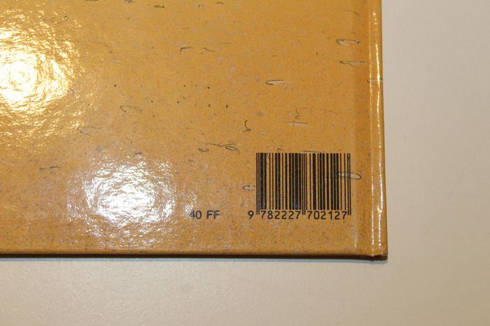 Livre Charles de foucauld un voyageur inconnu - photo numéro 8