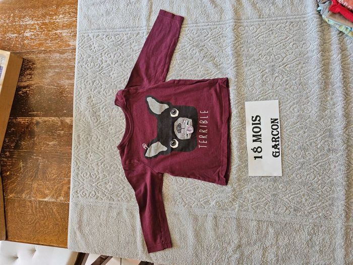 Lot 18 mois garçons - photo numéro 8
