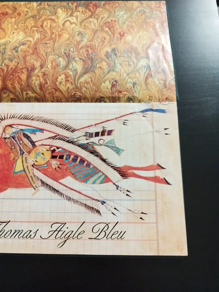 Livre thomas aigle bleu - photo numéro 3