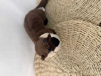 peluche Wild Republic Cuddlekins Mini Loutre De Rivière