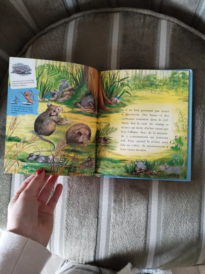 Livre pour enfant - photo numéro 4