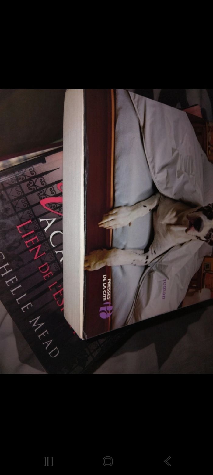 Livre - photo numéro 4