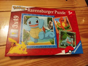 Puzzle pokémon