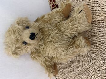 peluche ours SIA rétro