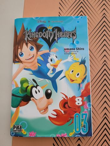manga kingdom hearts  (3e)