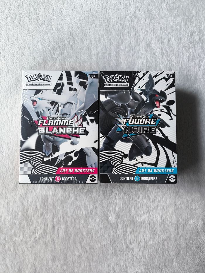 Lot Bundle Ecarlate et Violet – Foudre Noire – Flamme Blanche EV10.5 FR