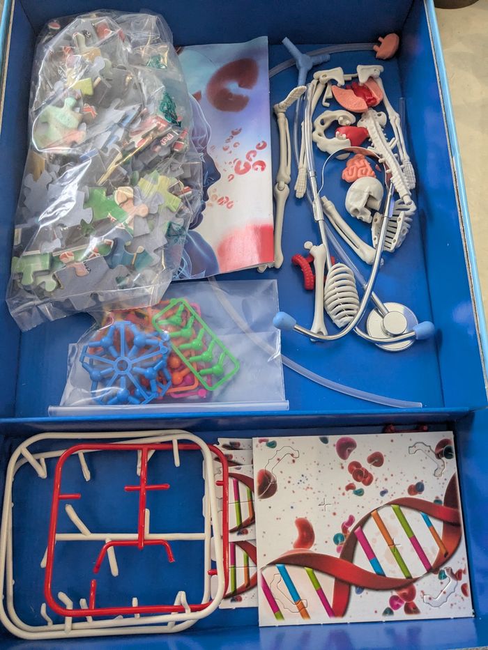 Jeux éducatifs, le corps humain science et jeux. À partir de 9 - photo numéro 3