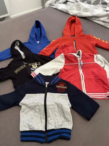 Vestes