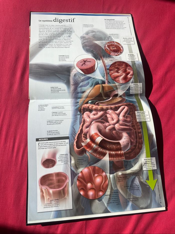 Livre - photo numéro 4