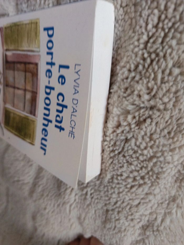 Le chat porte bonheur - photo numéro 2