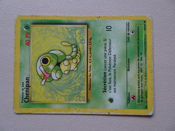 Carte pokémon chenipan