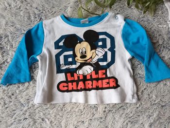 Haut Mickey 3m