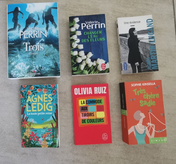 6 romans  dont 2 de Valérie Perrin - photo numéro 2