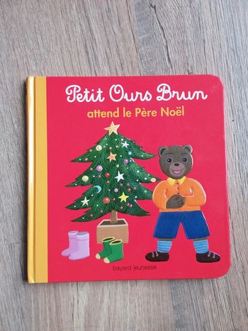 Livre Petit Ours Brun attend le Père Noël